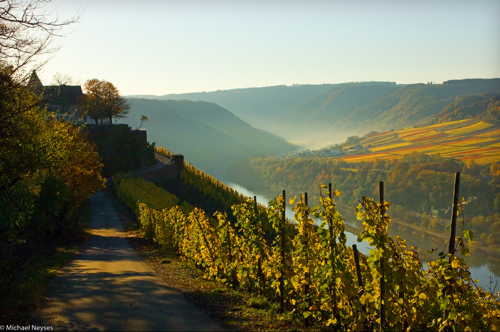 Herbstwanderung an der Marienburg